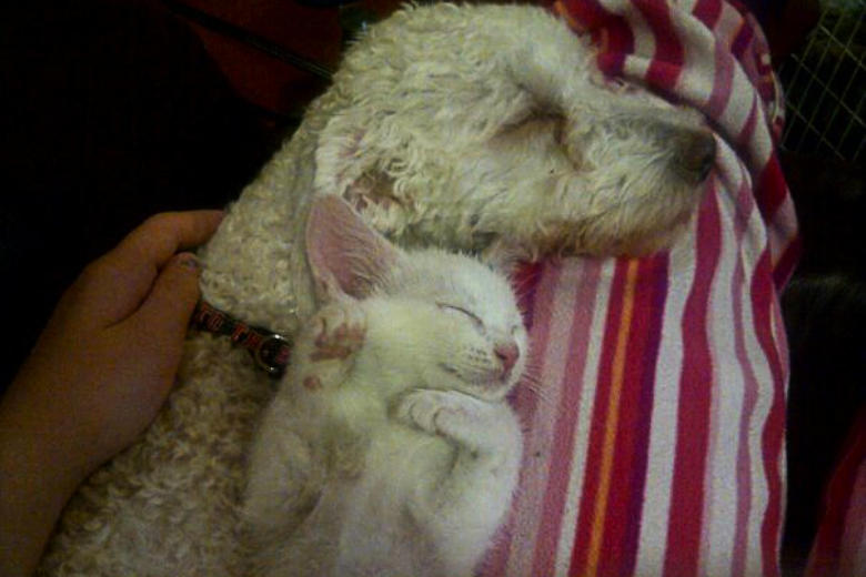 Meet Logan: A Story of Perseverance